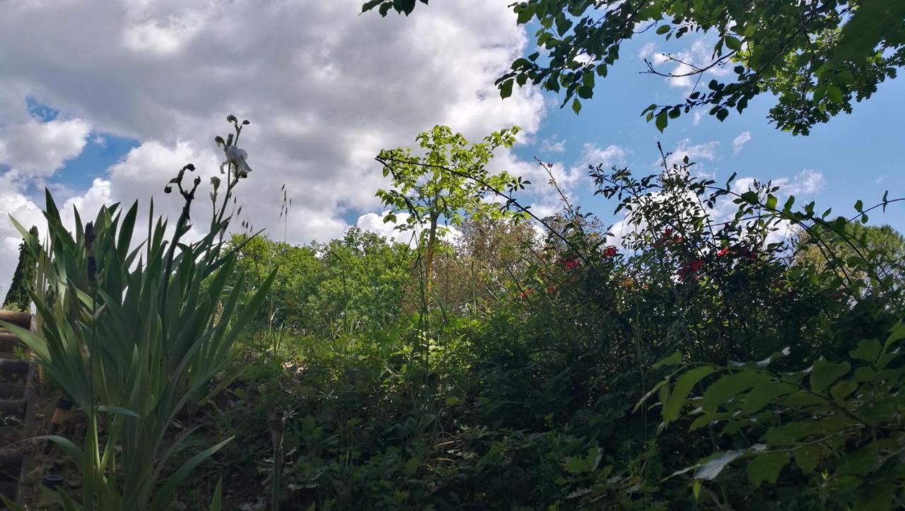 La Merla Perugia Exteriér fotografie