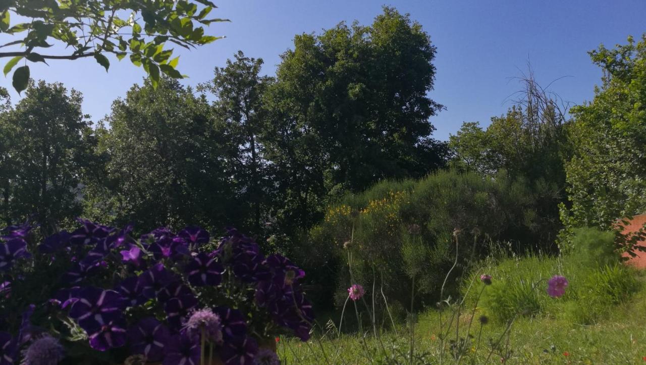 La Merla Perugia Exteriér fotografie